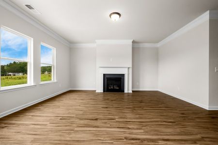 New construction Single-Family house 117 Townsend Wy, Unit 229, Chapel Hill, TN 37034 plan The Harrington - image 15