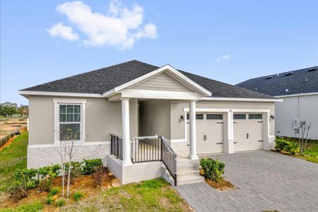 New construction Single-Family house 316 Sunbrook Dr, Groveland, FL 34736 - image