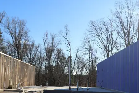 New construction Townhouse house 3165 Mission Olive Pl, New Hill, NC 27562 plan Marigold - Interior Home - image