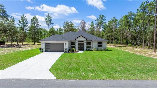New construction Single-Family house 4438 Sw 179 Pl, Ocala, FL 34473 - image