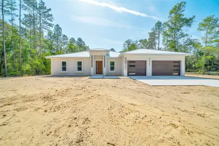 New construction Single-Family house 6877 Sw 131St Cir Sw, Ocala, FL 34481 - image