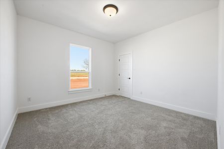 New construction Single-Family house 12 Cattleman Dr, Poolville, TX 76487 plan The Tulip - image 12