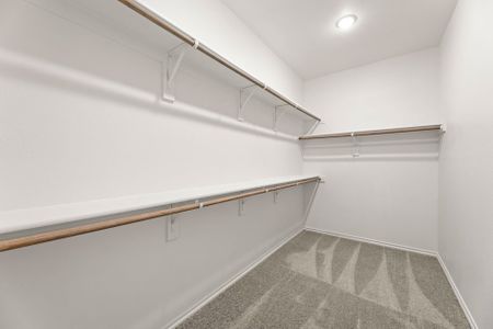 New construction Single-Family house 1620 Macadamia Ct, Aubrey, TX 76227 plan Maple - image 18