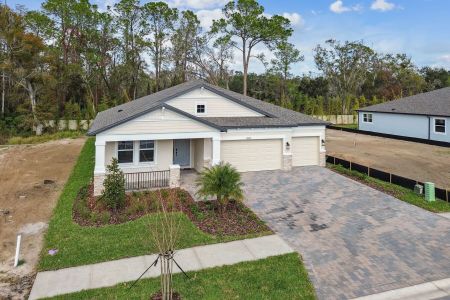 New construction Single-Family house 20219 Oriana Loop, Land O' Lakes, FL 34638 Corina  III- photo 145 145