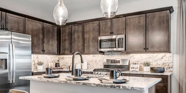 New construction Single-Family house 43234 N Hinoki, Queen Creek, AZ 85140 Townlet (Loop)- photo 10 10