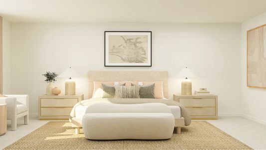 Marelli: Carolina Collection 5