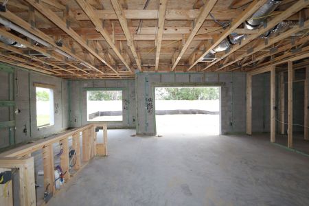 New construction Single-Family house 12146 Hilltop Farms Dr, Dade City, FL 33525 Cabo- photo 33 33