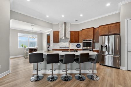 New construction Single-Family house 5961 Blakeney Lp, Apollo Beach, FL 33572 - image 14