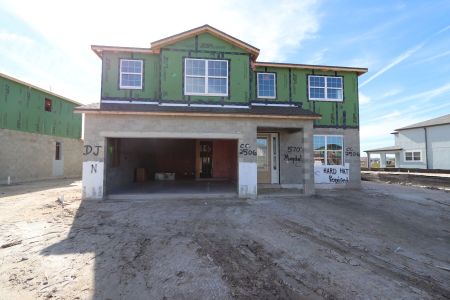 New construction Single-Family house 5707 Maydale Ave, Wesley Chapel, FL 33545 Sonoma II- photo 90 90