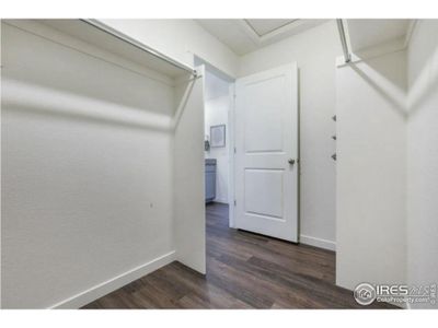 New construction Single-Family house 4204 Sandstone Dr, Mead, CO 80504 BELLAMY- photo 14 14