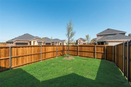 New construction Single-Family house 3129 Buckeye St, Celina, TX 75009 plan Medina - image