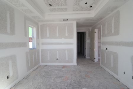 New construction Single-Family house 20264 Oriana Loop, Land O' Lakes, FL 34638 Santa Monica- photo 88 88