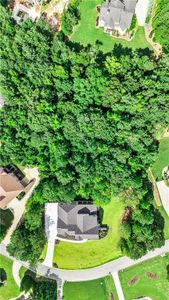 New construction Single-Family house 47 Sagewood Ct, Newnan, GA 30265 - image