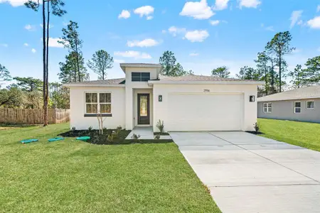 New construction Single-Family house 2978 W Higgins Pl, Dunnellon, FL 34433 - image