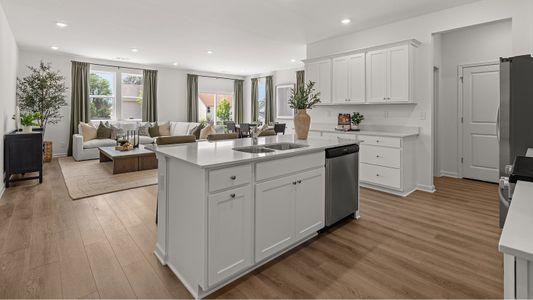 New construction Single-Family house 16 Mayhaw Pt, Sharpsburg, GA 30277 plan Newport - image