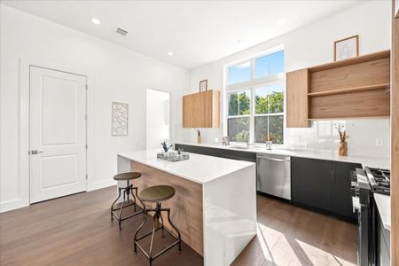 Middle Street Lofts on the Bayou by Urban Lofts Townhomes in Houston - image 7