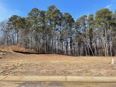 Hazel Tree Lined Lot