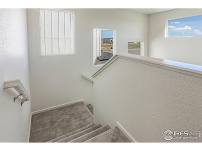 New construction Single-Family house 5409 Drehle St, Timnath, CO 80547 plan Rowling - image 5