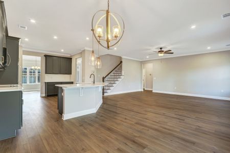 New construction Single-Family house 51 Hanover Pl, Richmond Hill, GA 31324 plan Hilton - image 11