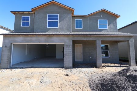 New construction Single-Family house 12168 Hilltop Farms Dr, Dade City, FL 33525 Malibu- photo 61 61