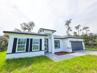 New construction Single-Family house 2454 Sw 167Th Lp, Ocala, FL 34473 - image
