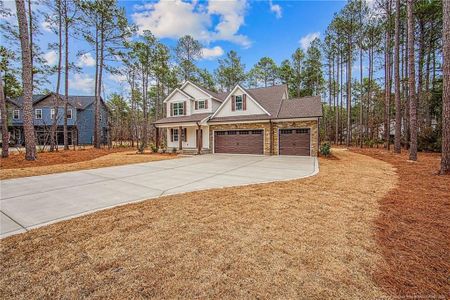 New construction Single-Family house 28941 Pinedale Ct, Wagram, NC 28396 - image