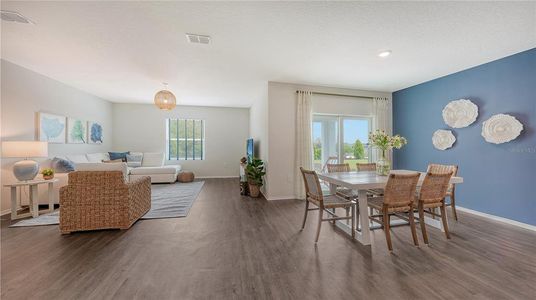 New construction Single-Family house 13258 Sassafras Trl, Parrish, FL 34219 - image 4