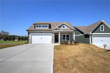 New construction Single-Family house 146 Sunflower Cir, Cartersville, GA 30121 - image