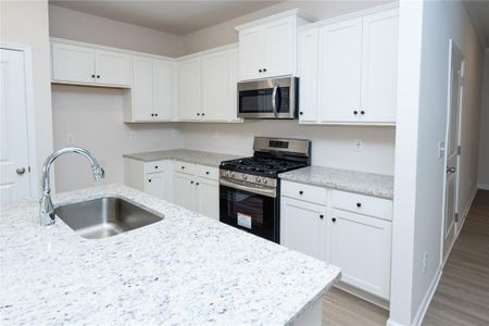 New construction Single-Family house 27 Rosebud Ln, Dallas, GA 30132 plan Augusta - image 15