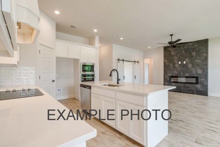 New construction Single-Family house 205 Marshall Dr, Springtown, TX 76088 plan The Iris - image 13