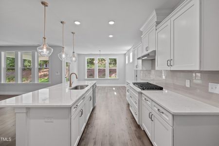 New construction Single-Family house 9168 Dupree Meadow Dr, Angier, NC 27501 plan The Hampton - image 7