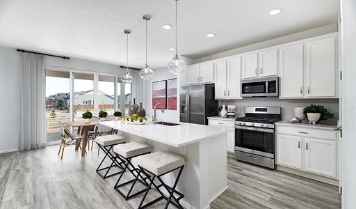 New construction Single-Family house 24193 E 39Th Ave, Aurora, CO 80019 plan Coral - image 16