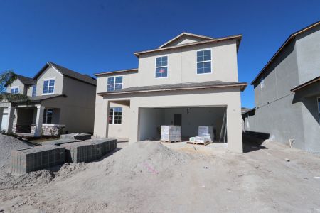 New construction Single-Family house 4877 Foxglove Cir, Lakeland, FL 33811 Alenza- photo 77 77