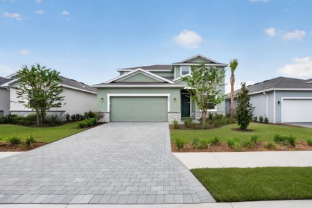 New construction Single-Family house 3613 Ambersweet Xing, Parrish, FL 34219 plan Amalfi - image