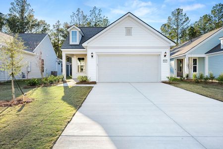 New construction Single-Family house 1665 Sunfish Wy, Bluffton, SC 29909 plan Contour - image