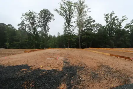 New construction Single-Family house 2016 Garden Flower Dr, Apex, NC 27523 plan Brittain - Single Family Signature Collection - image