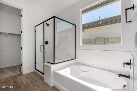 New construction Single-Family house 25336 N 131St Dr, Peoria, AZ 85383 plan Lot 110 - Plan 4412 - image 8