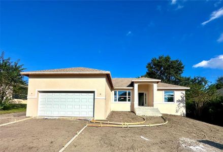 New construction Single-Family house 7013 Remington Oaks Lp, Lakeland, FL 33810 - image