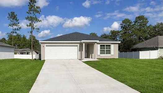 New construction Single-Family house 5077 Sw 155Th Lp, Ocala, FL 34473 - image