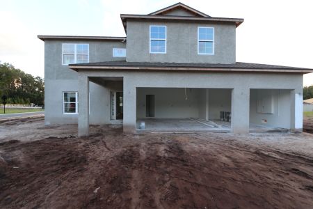 New construction Single-Family house 20288 Oriana Loop, Land O' Lakes, FL 34638 Coronado II- photo 50 50