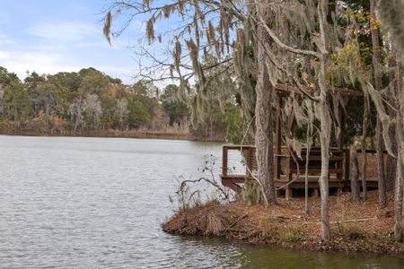 New construction Single-Family house 1107 Bellwether Ln, Summerville, SC 29485 Camellia- photo 46 46