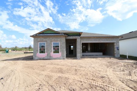 New construction Single-Family house 3164 Adams Cross Dr, Zephyrhills, FL 33540 Marque- photo 36 36