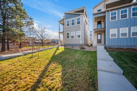 New construction Single-Family house 3077 Curly Grove, Colorado Springs, CO 80922 plan Primrose - image 4