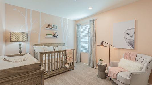 Sycamore Canyon: Destiny Collection 11