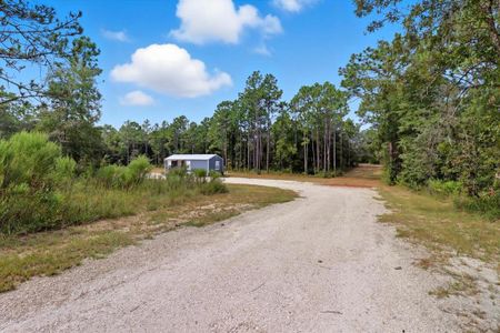 New construction Single-Family house 7576 N Heller Ave, Dunnellon, FL 34433 - image