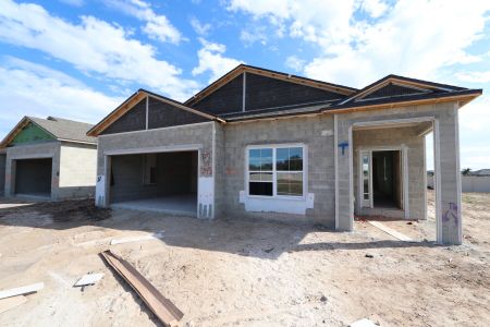 New construction Single-Family house 3142 Adams Cross Dr, Zephyrhills, FL 33540 Picasso- photo 61 61