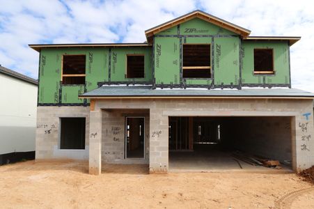 New construction Single-Family house 12294 Hilltop Farms Dr, Dade City, FL 33525 Malibu- photo 40 40