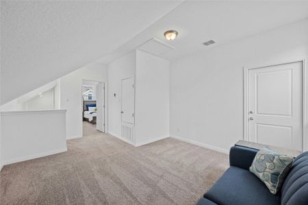 New construction Townhouse house 2155 Hofstaat, New Braunfels, TX 78130 null- photo 21 21