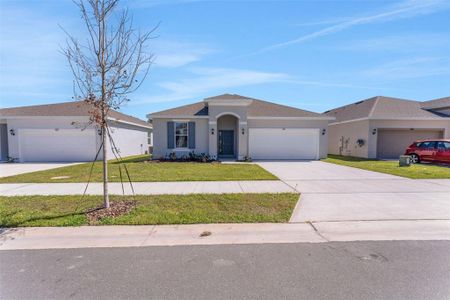 New construction Single-Family house 191 Bottle Brush Dr, Haines City, FL 33844 Mulberry- photo 27 27