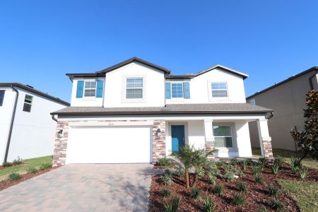 New construction Single-Family house 12168 Hilltop Farms Dr, Dade City, FL 33525 Malibu- photo 146 146